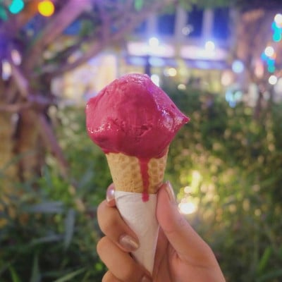 Seasons Premium Homemade Icecream