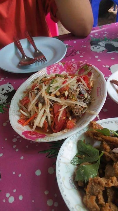 ต้นโพธิ์