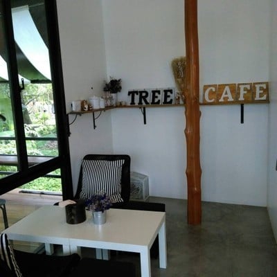Tree Cafe บรรยากาศในร้าน