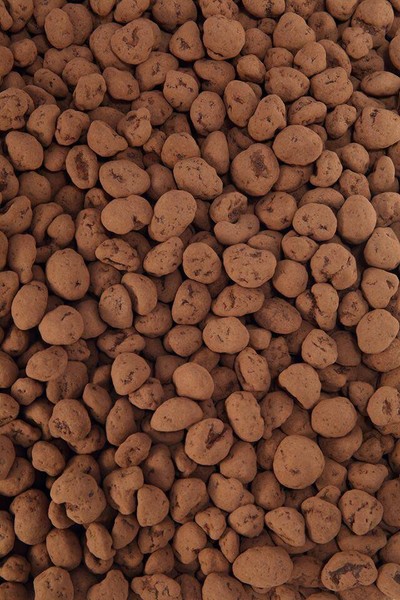 Chocobeans