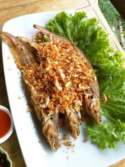 ครัวระเบียงไทร
