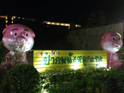 ปากพนังหมูกระทะ