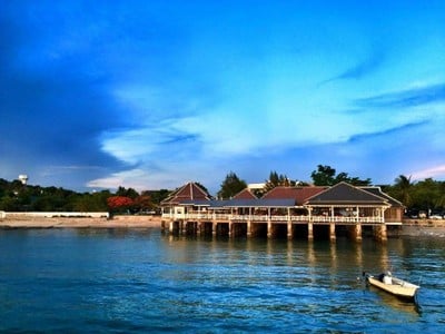ปะการังเรือนน้ำ บางแสน