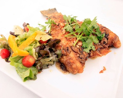 Whitening Bar & Restaurant เกาะเต่า Whitening Bar & Restaurant เกาะเต่า