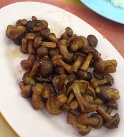 ถิงถิงโภชนา