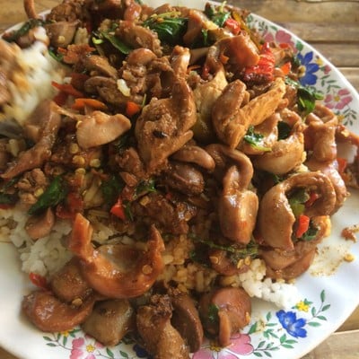 ยาโภชนา บ้านเกาะ