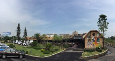 Alpaca Restaurant Cha-Am