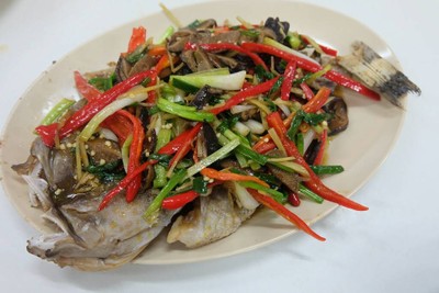 ต้องตาปูดอง - ทาวน์อินทาวน์ ทาวน์อินทาวน์