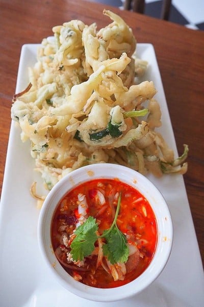 🌴Town Tree Coco🥥🌴