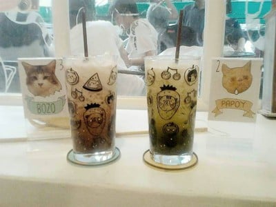 Caturday cat cafe (แคทเทอเดย์ แคท คาเฟ่) Caturday cat cafe (แคทเทอเดย์ แคท คาเฟ่)