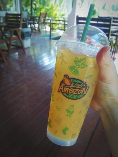 Amazon Fruit Tea Paradise