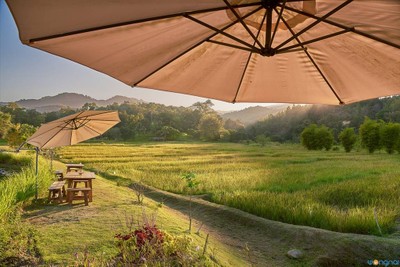 บรรยากาศ Anna Farm & Eatery