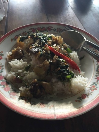 ผัดกระเพราเนื้อ