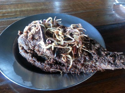 ปลาร้าเป็นตัวทอด ตัวใหญ่มากๆ