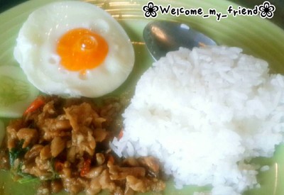ข้าวราดกะเพราไก่ ไข่ดาว