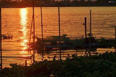 บรรยากาศ บ้านระเบียงน้ำ & กุ้งแม่น้ำเผา Delivery