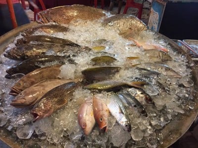 Fresh Fishes Of The Day