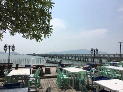 ป่าหล่ายซีฟู้ด ป่าหล่ายซีฟู้ด