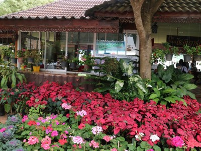 บรรยากาศ