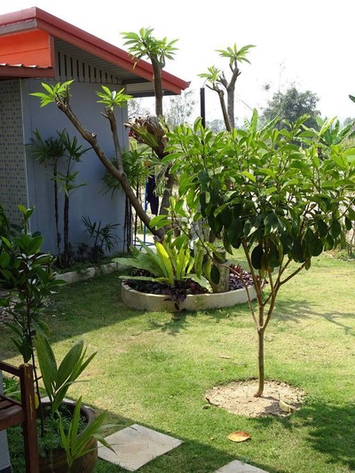 บรรยากาศ