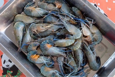 กุ้งสด
