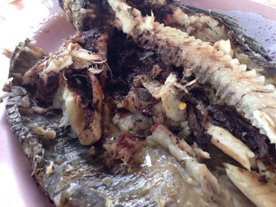 ต้มยำ (ปลาคัง  ปลาบึก  ปลายอน  ทะเล)