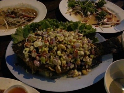ปลาลุยสวน