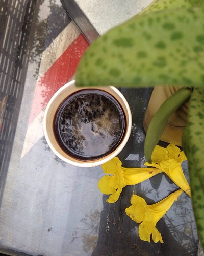 อเมริกาโน่ร้อน