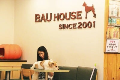 Bau House Dog Cafe