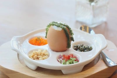 The Hen And The Egg