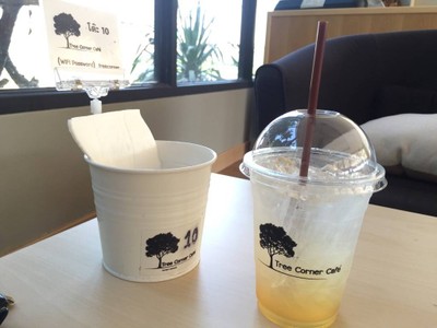 HONEY LEMON SODA