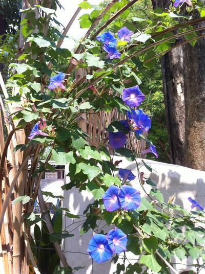 หน้าร้าน