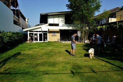 Dog In Town เอกมัย