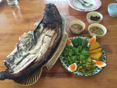 ปลาช่อนนาเผา