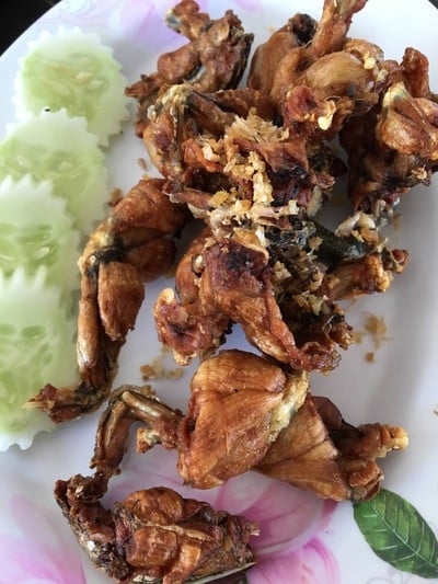 กบทอดกระเทียม