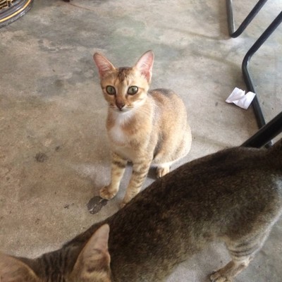 อื่นๆ