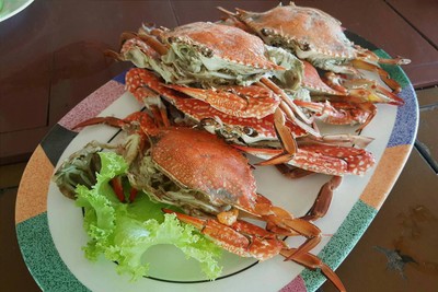 ปูม้าไข่
