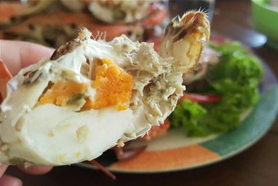 ปูม้าไข่