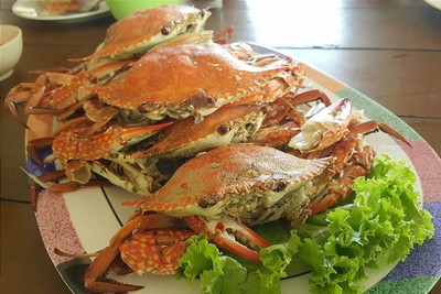 ปูม้าไข่
