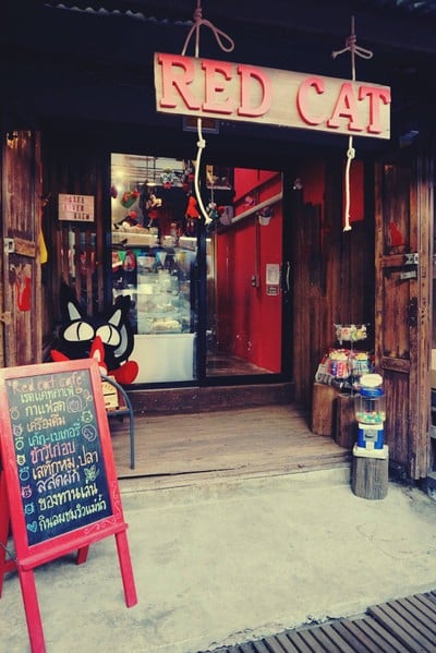 รีวิว Red Cat Cafe ฉะเชิงเทรา - คาเฟ่แมวแดง ร้านชื่อดัง ณ ตลาดบ้านใหม่