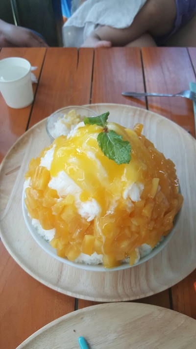 ชีวิต ชีวา Shevitsheva