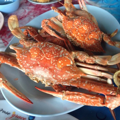 ป้าฮี๊ด ซีฟู้ด (PaHeat Seafood) ป้าฮี๊ด ซีฟู้ด (PaHeat Seafood)