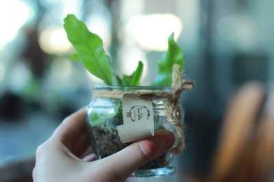 Tree Tales Cafe พัทยา นาเกลือ