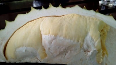 ทุเรียนพันธุ์ทูลถวาย