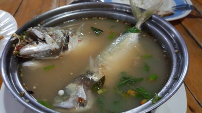 ต้มยำปลาทู