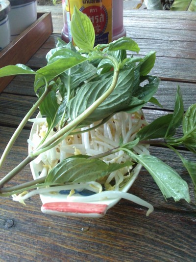 ผักฟรี