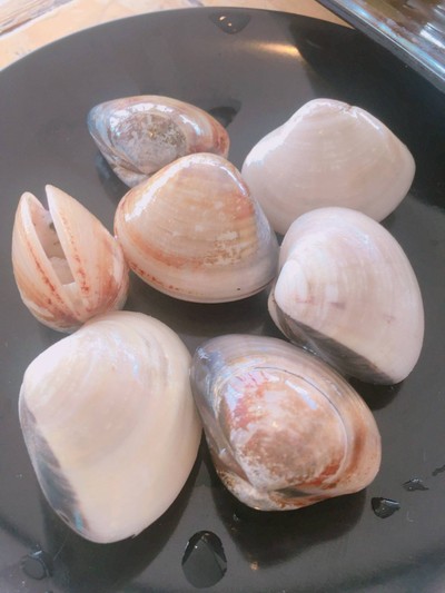 หอยตลับ