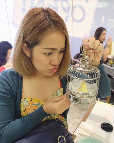 พายสัปปะรดเจ้านกน้อย