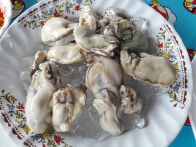 หอยนางรมสด