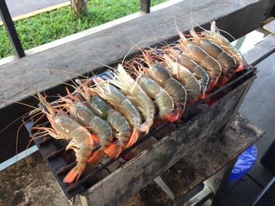 กุ้ง อาหารทะเล